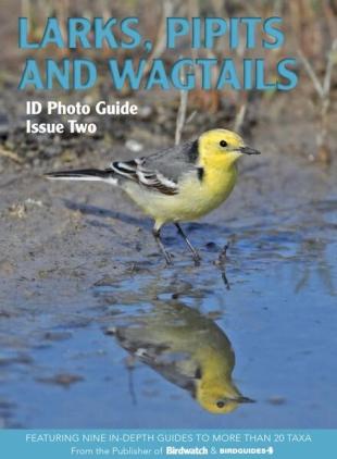 Bird ID Photo Guides - 07 November 2022