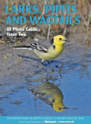 Bird ID Photo Guides - 11 November 2022