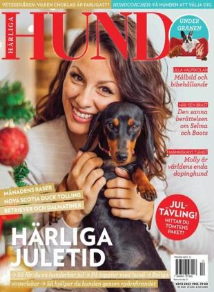 Harliga Hund - november 2022