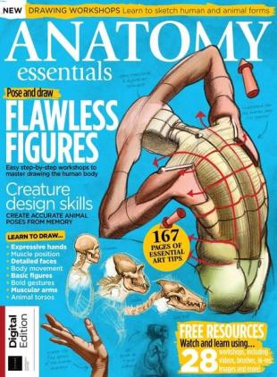 Anatomy Essentials - December 2022