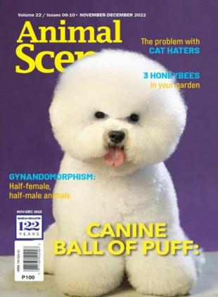 Animal Scene - November 2022