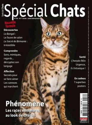 Special Chats - 01 decembre 2022