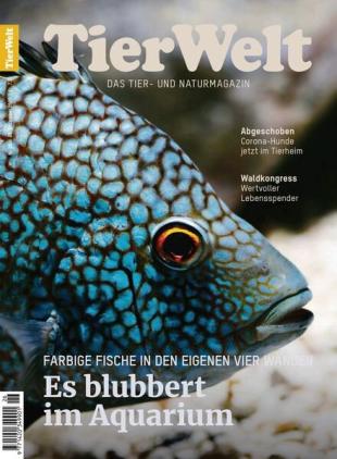 TierWelt - 31 Dezember 2022