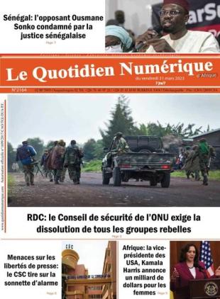Quotidien Numerique d'Afrique - 31 mars 2023