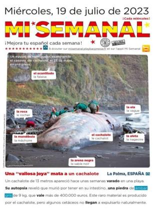 Mi Semanal - 20 julio 2023
