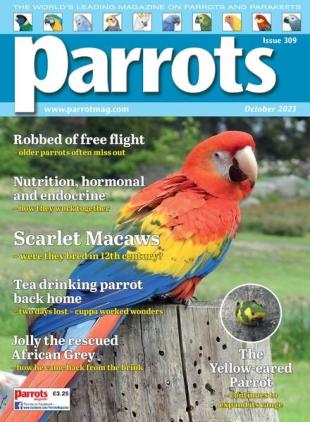 Parrots - October 2023