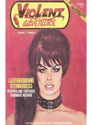 Violent Adventure - Volume 3 Number 2 Summer 1973
