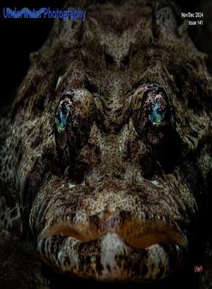 Underwater Photography - November-December 2024