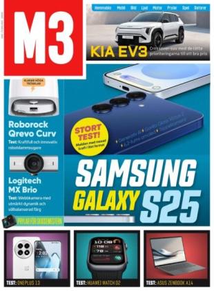 M3 - Februari 2025