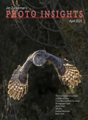 Photo Insights - April 2025