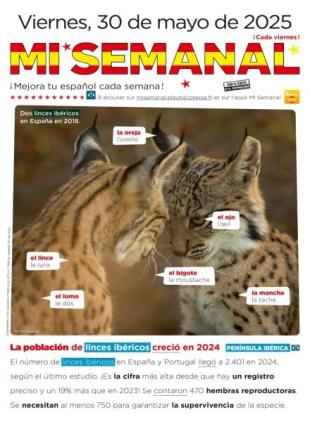 Mi Semanal - 30 Mayo 2025