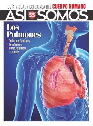 Asi Somos El cuerpo humano - Octubre 2025