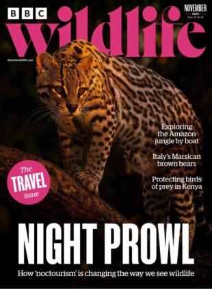 BBC Wildlife - November 2025