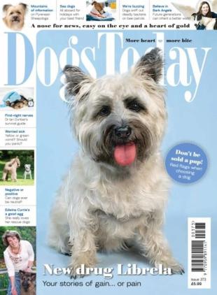 Dogs Today UK - Issue 373 2025