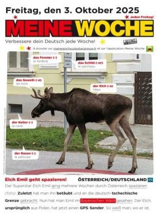 Meine Woche - 2 Oktober 2025