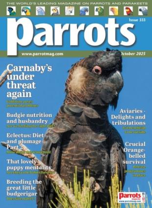 Parrots - October 2025
