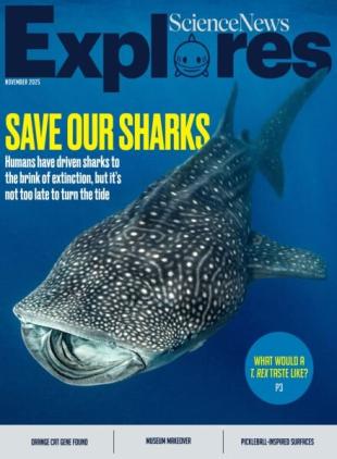 Science News Explores - November 2025