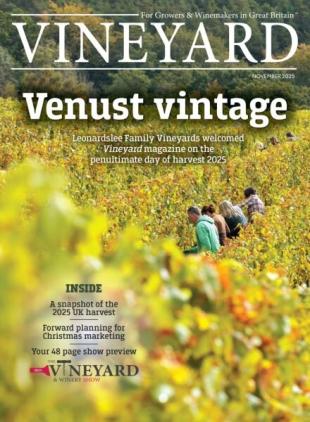 Vineyard - November 2025