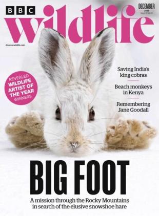 BBC Wildlife - December 2025