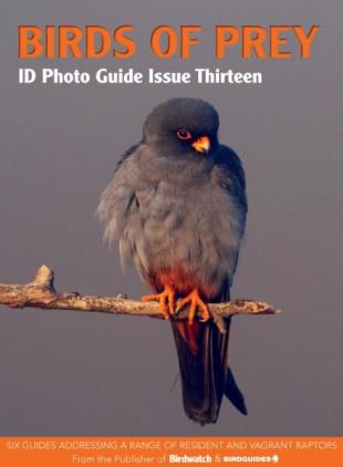 Bird ID Photo Guides - Issue 13 2025
