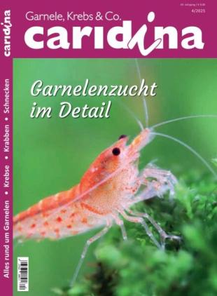 Caridina - November 2025