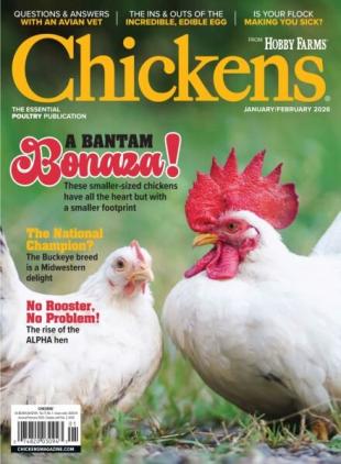 Chickens - December 2025 - January 2026