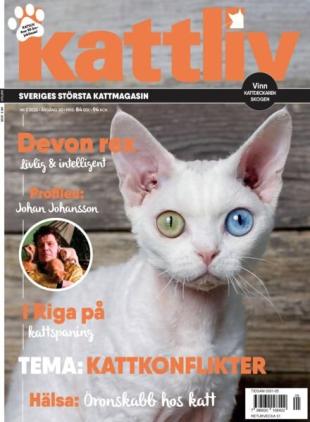 Kattliv - November 2025