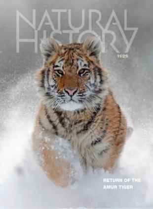 Natural History - November 2025