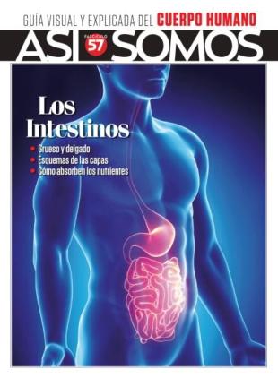 Asi Somos El cuerpo humano - Diciembre 2025