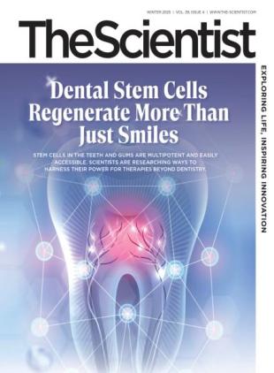 The Scientist - Winter 2025