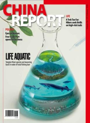 China Report - February 2026