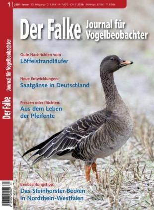 Der Falke Journal fur Vogelbeobachter - Januar 2026