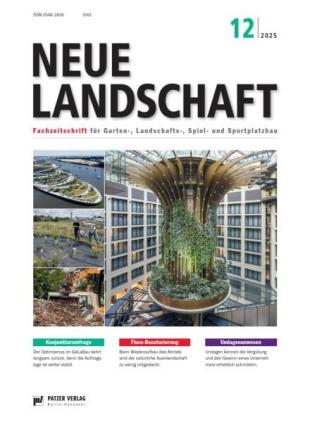 Neue Landschaft - Dezember 2025