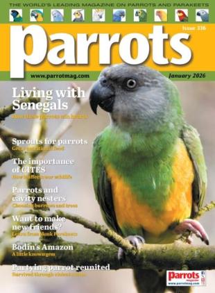 Parrots - January 2026