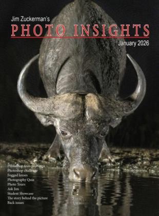 Photo Insights - January 2026