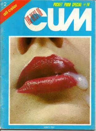 Pocket Porn Special - n 14