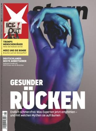 Der Stern - 28 Januar 2026