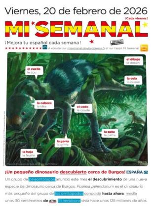 Mi Semanal - 20 Febrero 2026