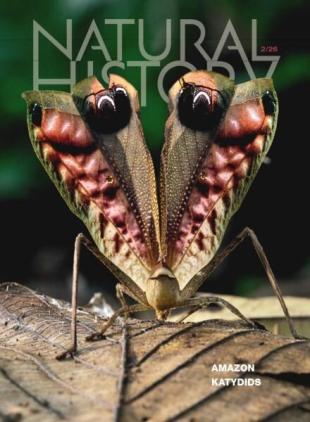 Natural History - February 2026