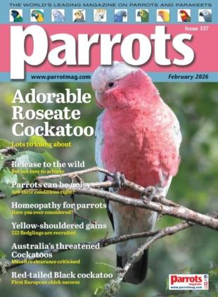 Parrots - February 2026