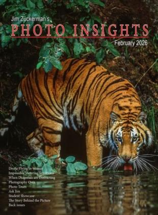 Photo Insights - February 2026