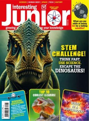 Very Interesting Junior - Issue 68 November 2025