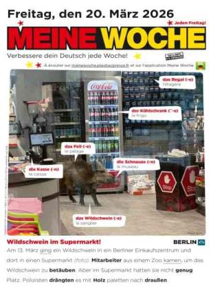 Meine Woche - 19 Marz 2026