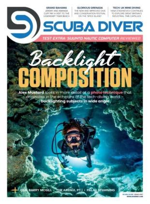 Scuba Diver - February 2026