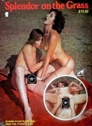 Splendor On The Grass 1970
