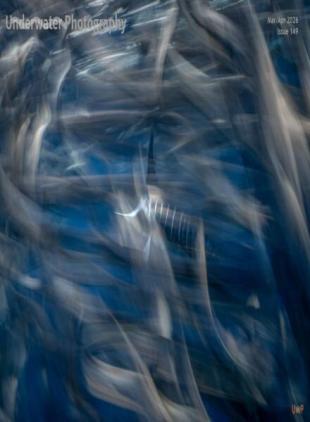 Underwater Photography - March-April 2026