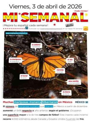 Mi Semanal - 3 Abril 2026