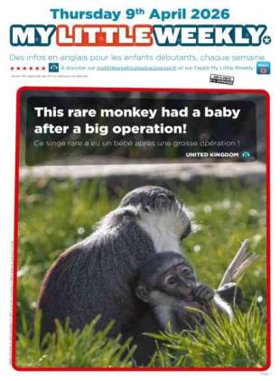 My Little Weekly - 10 Avril 2026