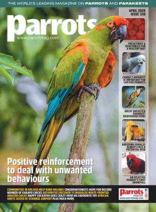 Parrots - April 2026