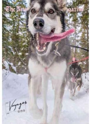 The New York Times Magazine - 29 March 2026